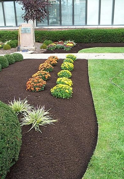 Blog &eacute;quip'jardin mulching