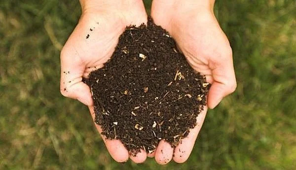 Créer son compost : un engrais 100% naturel et 100% efficace