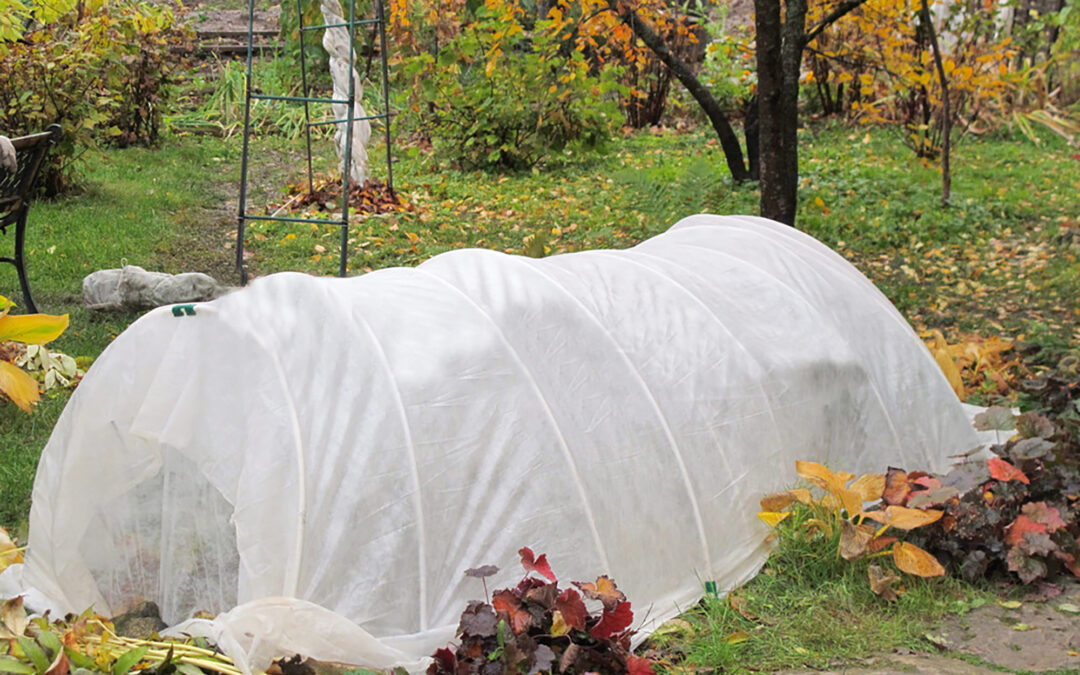 Blog équip'jardin - Accueil Comment remédier à l’hivernage de vos végétaux et vos matériels de jardin
