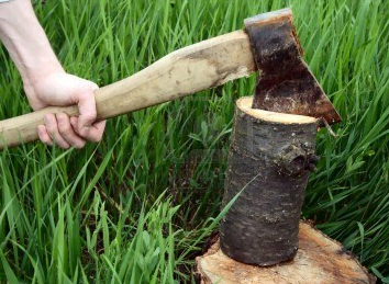 Blog &eacute;quip'jardin coupe buches hache