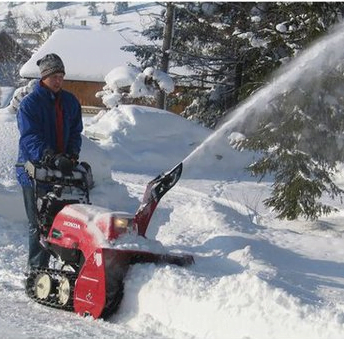 accessoires motoculteur fraise a neige