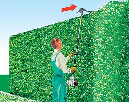 Blog &eacute;quip'jardin coupe dessus haies