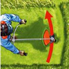 Blog &eacute;quip'jardin herbes hautes