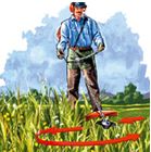 Blog &eacute;quip'jardin herbes hautes 2