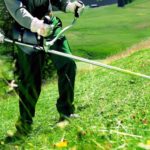 Quelle tete debroussailleuse choisir en fonction de vos besoins au jardin – Part I