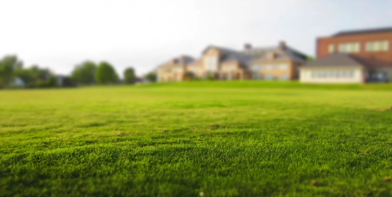 Guide pelouse | Votre pelouse : faites-en votre tapis vert