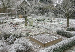 jardin_hiver
