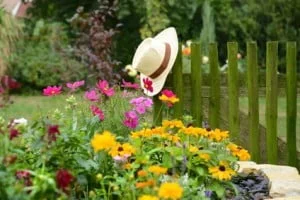 jardin-ecologique