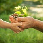 Jardin écologique : quelles sont les bonnes pratiques