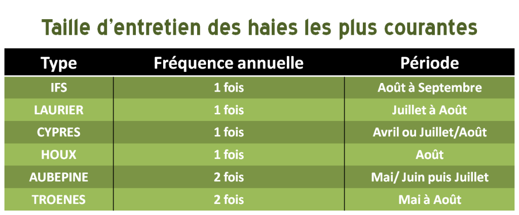 taille des haies