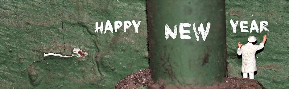 Bonne année 2016 au jardin !