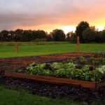 Créer votre carré potager