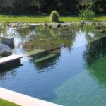 Construire sa piscine naturelle