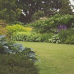 Jardin bio & malin