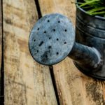 watering-can-1506750