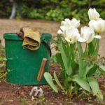 L’arrêt des pesticides au jardin : quelles méthodes alternatives ?