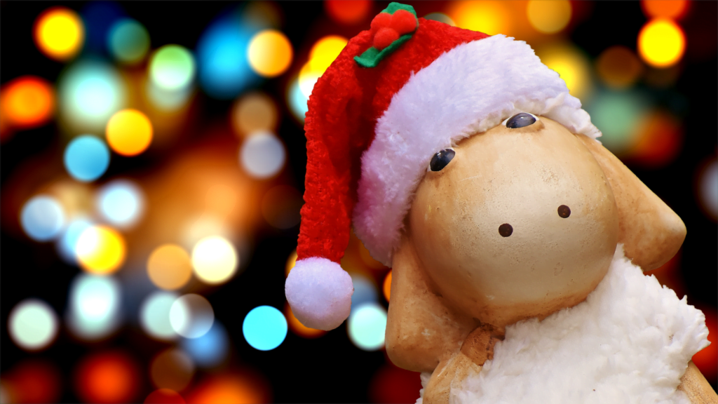 Blog &eacute;quip'jardin christmas 1912556