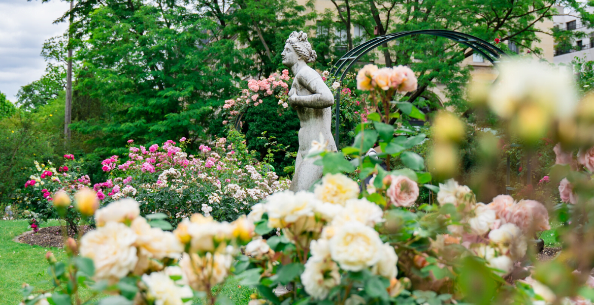 Quel type de jardin adopter pour votre extérieur ?
