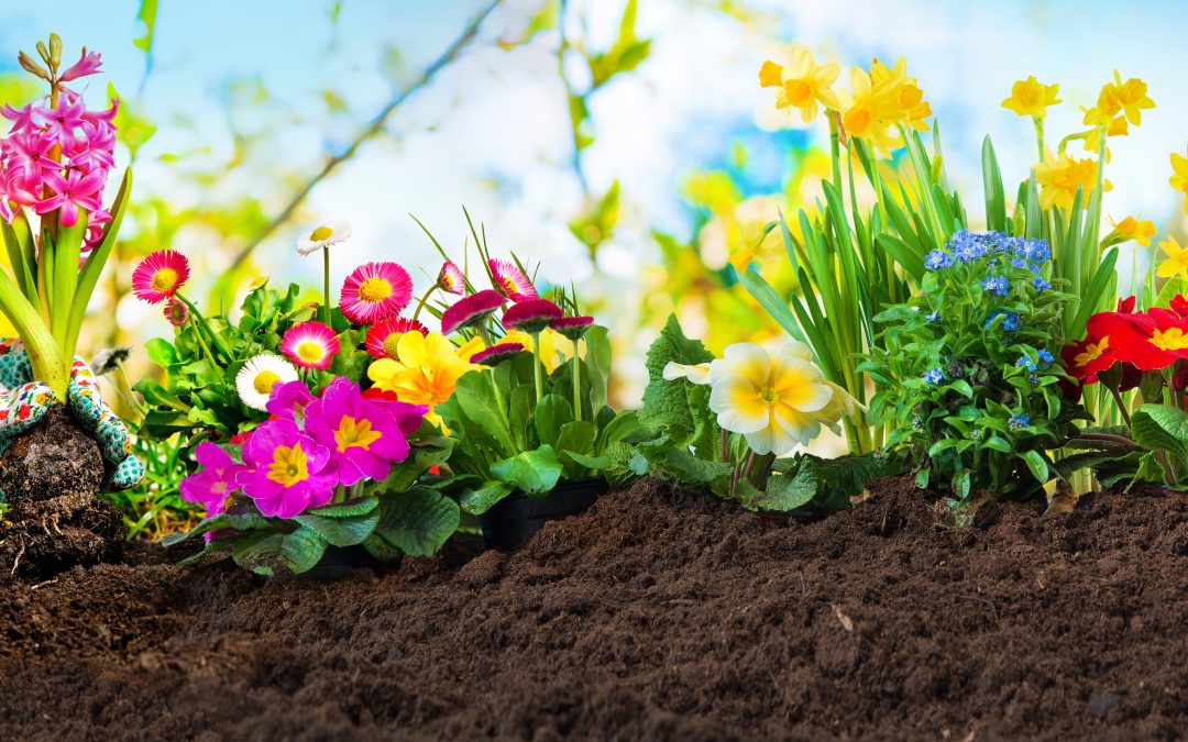 L’importance du printemps