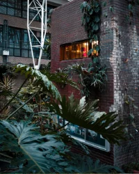 urban_garden.png