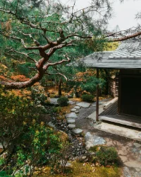 zen_garden.png
