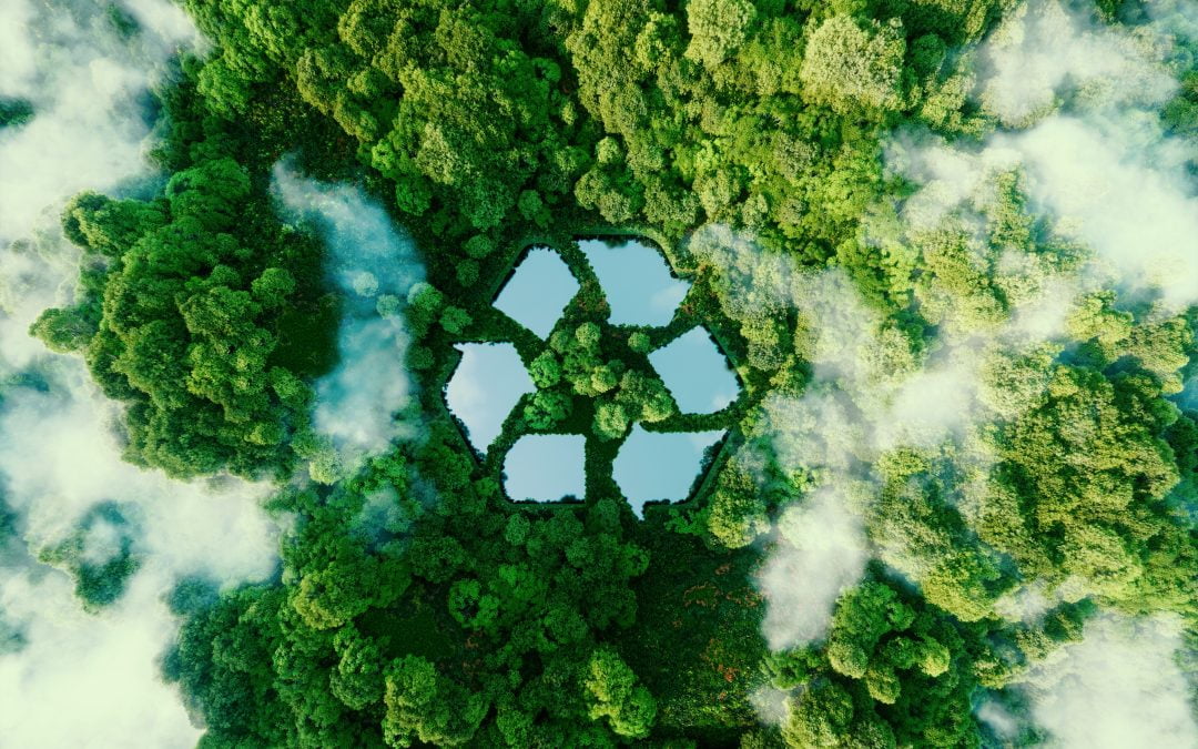 L’importance du recyclage