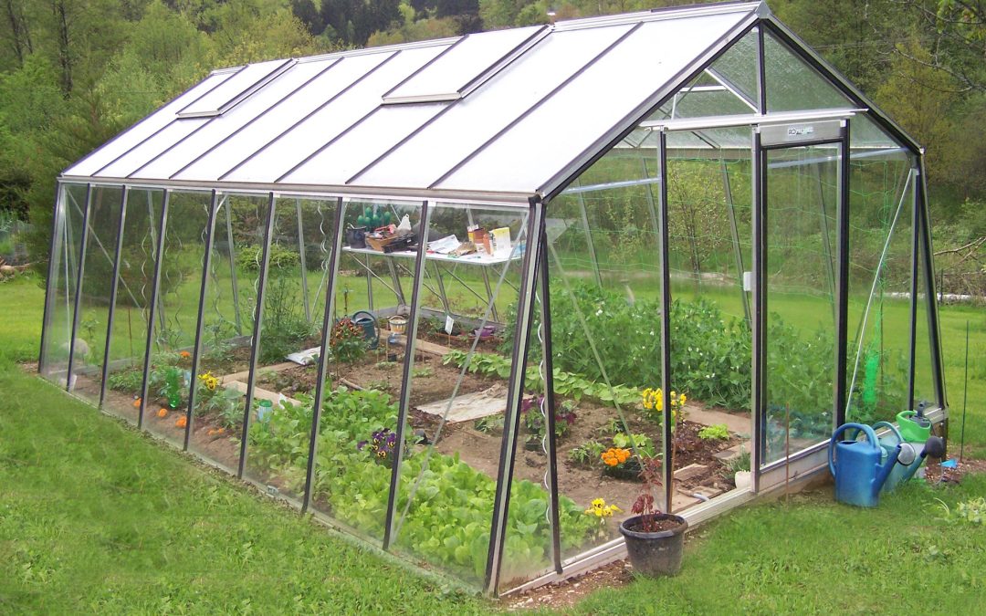 Les avantages d’un potager sous serre