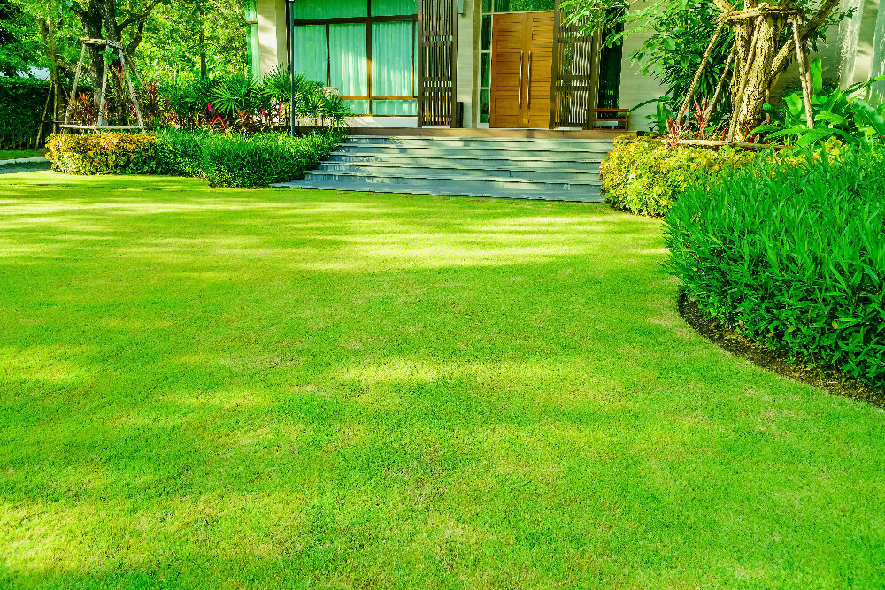 Blog équip'jardin - Accueil Comment Avoir un Beau Gazon Vert Toute l’Année : Conseils et Astuces