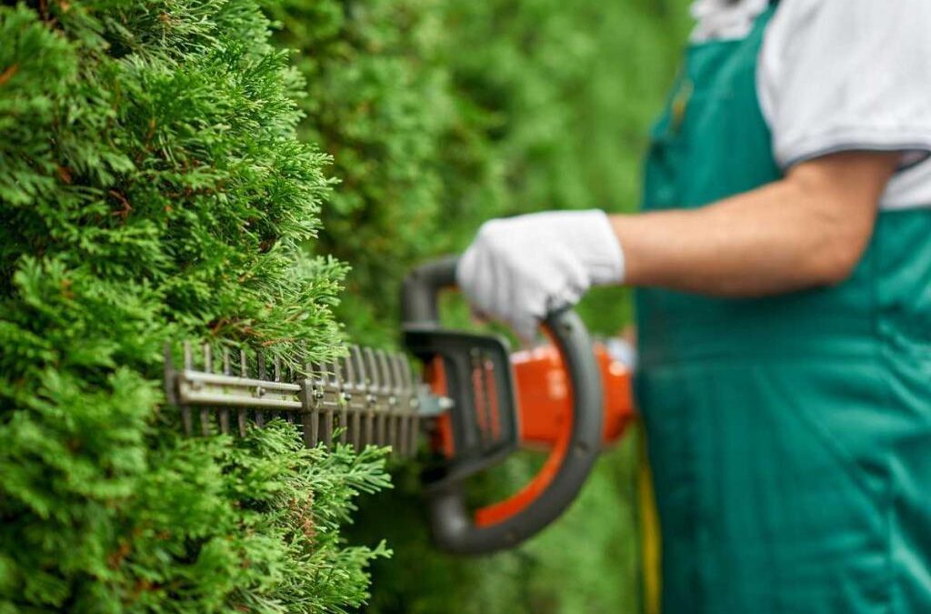 Blog équip'jardin - Accueil Comment tailler une haie ?