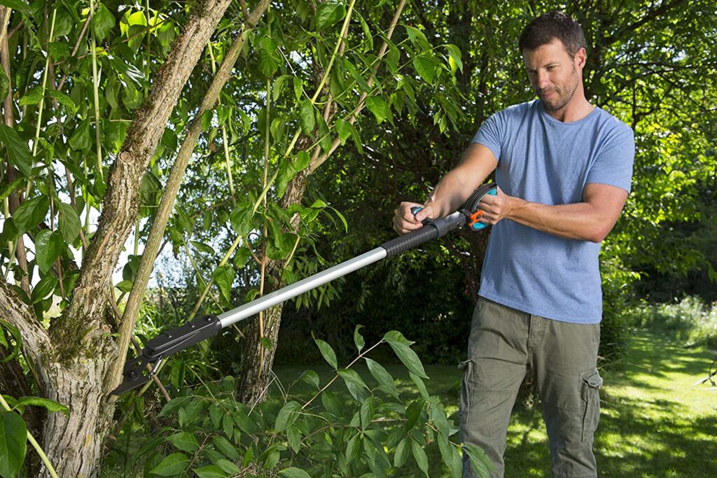 Blog équip'jardin - Quels outils pour tailler une haie ? Blog équip'jardin Lechenilloir