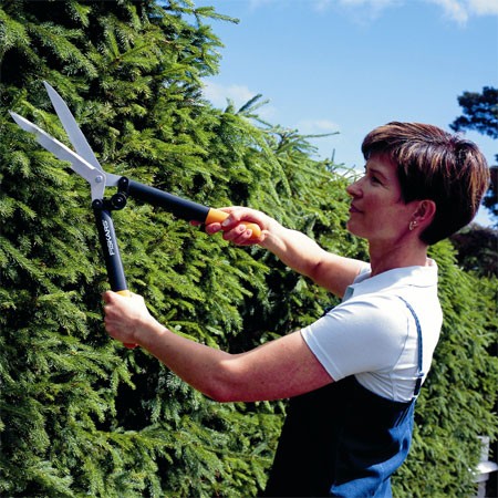 Blog équip'jardin - Quels outils pour tailler une haie ? cisaille haie